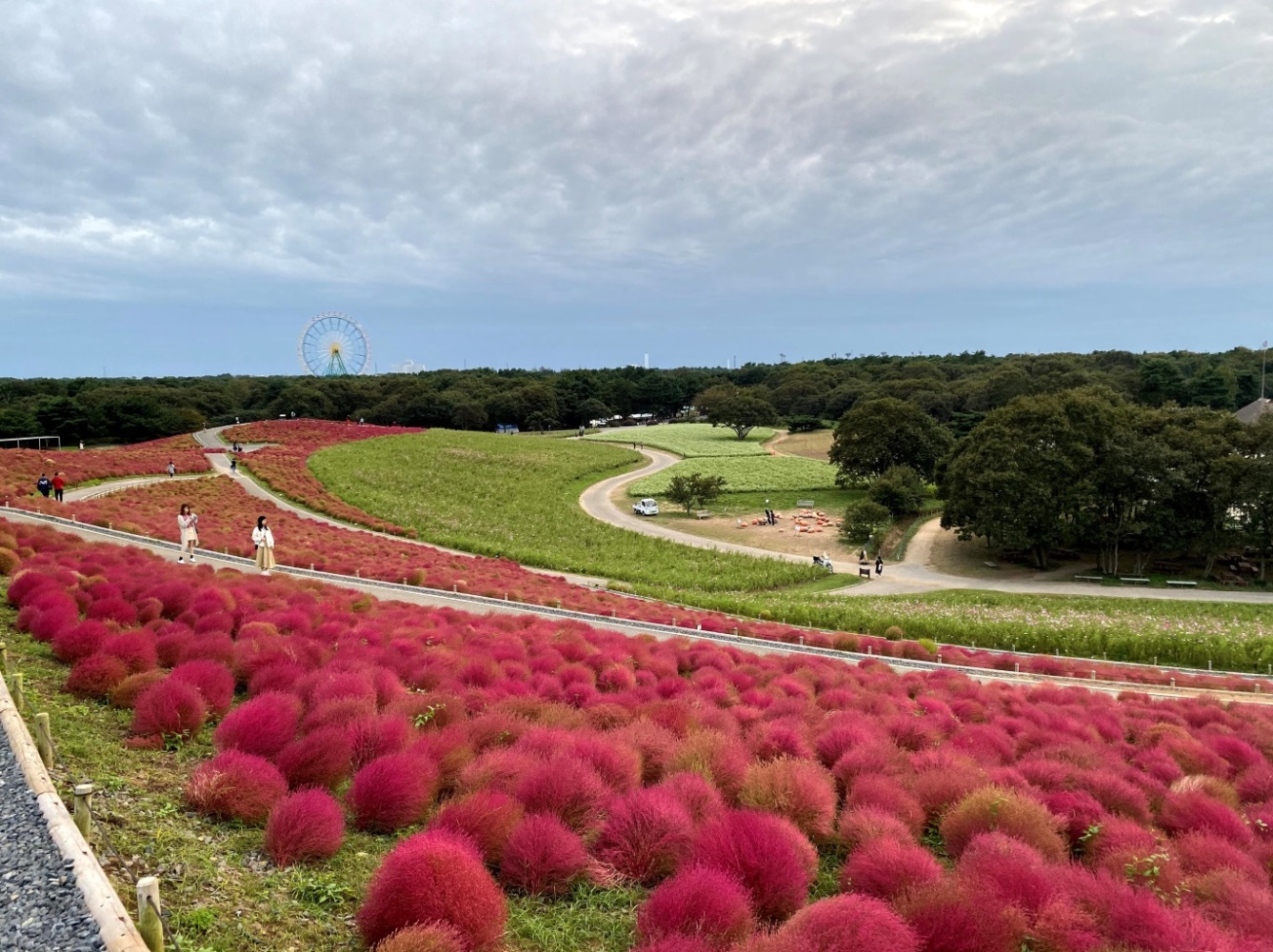 東京郊遊好去處 Texpert 旅遊網誌