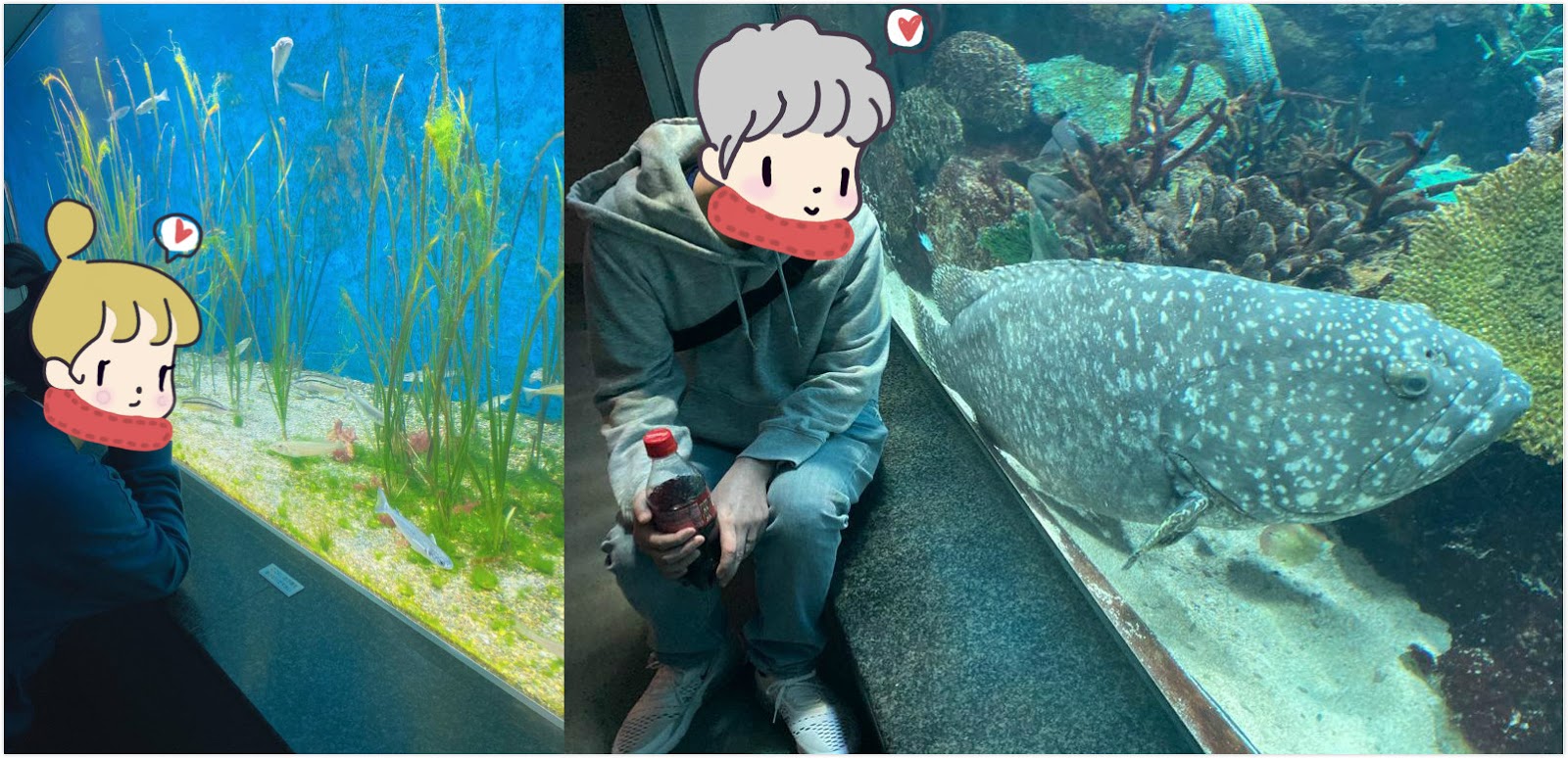 水族館