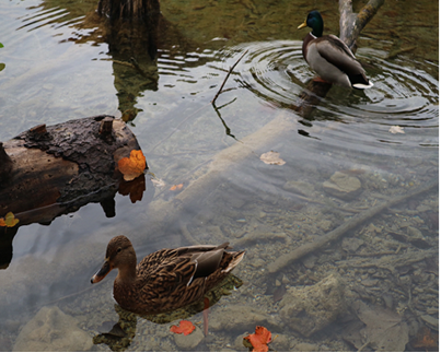 十六湖國家公園