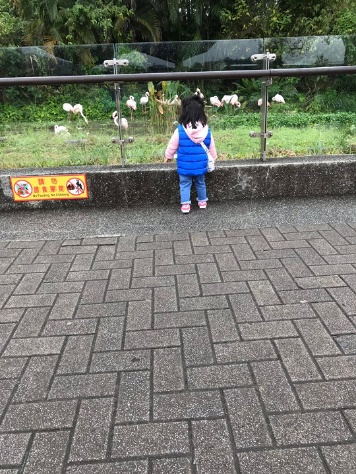 台北市立動物園