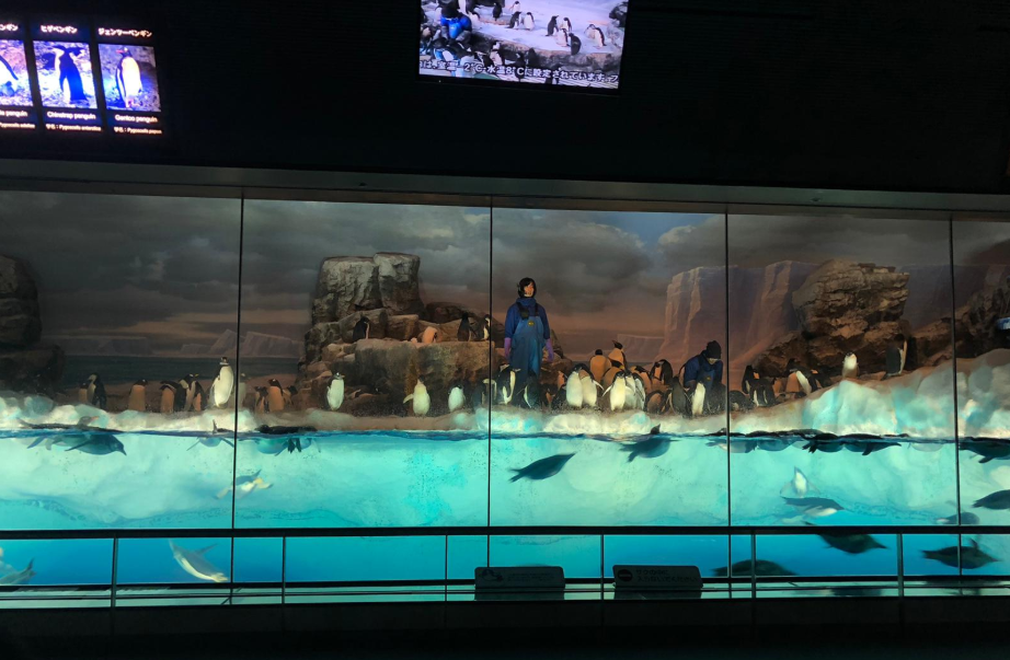 名古屋港水族館