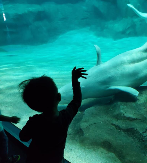 名古屋港水族館