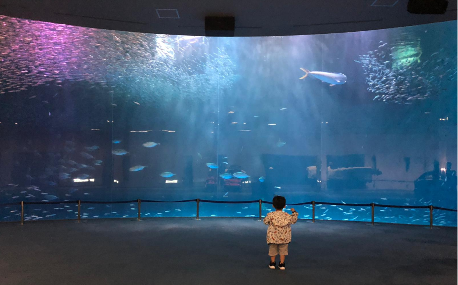 名古屋港水族館