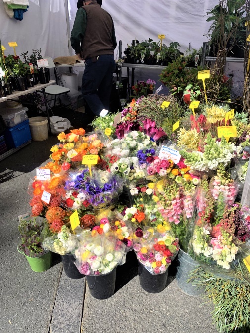 Salamanca market-flower