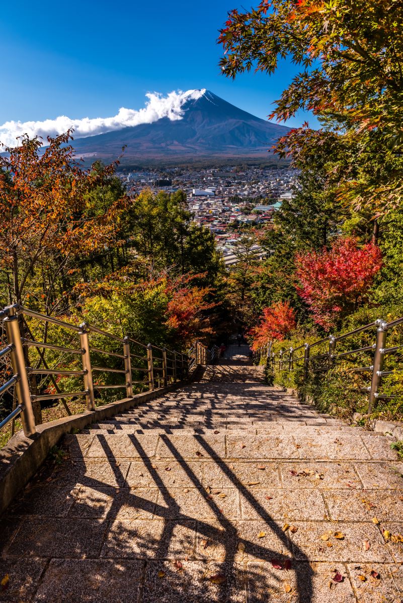 Stair- mount fuji view