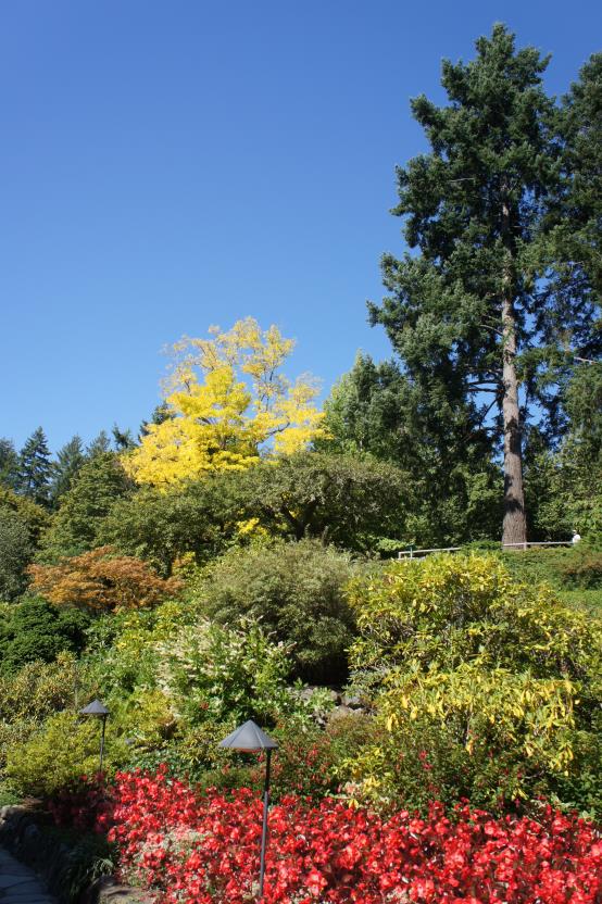 The Butchart Gardens