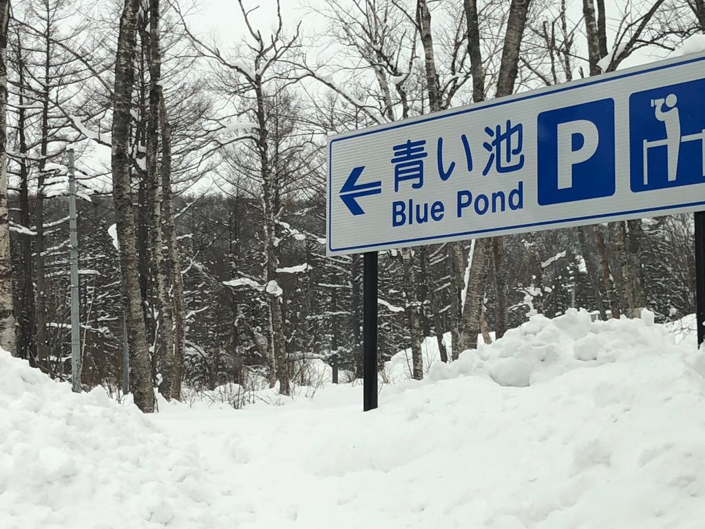 blue pond road sign