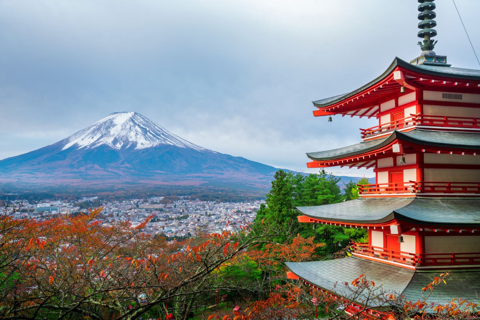 mount fuji view