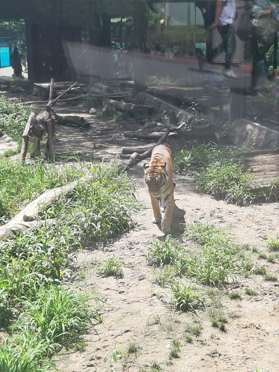 首爾愛寶樂園