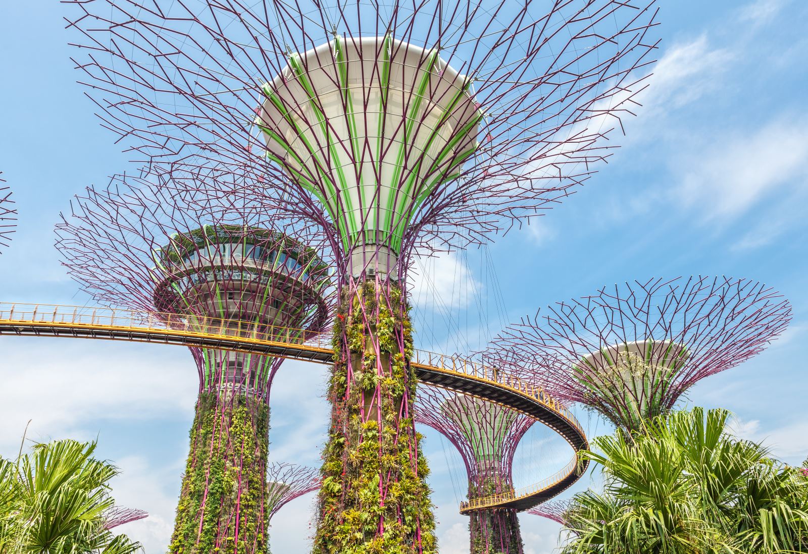 Gardens by the Bay 