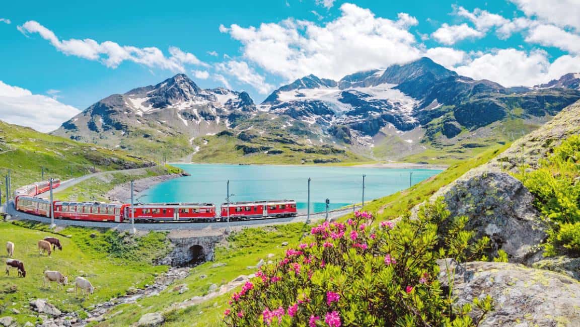 【Eurail】Swiss Half Fare Card