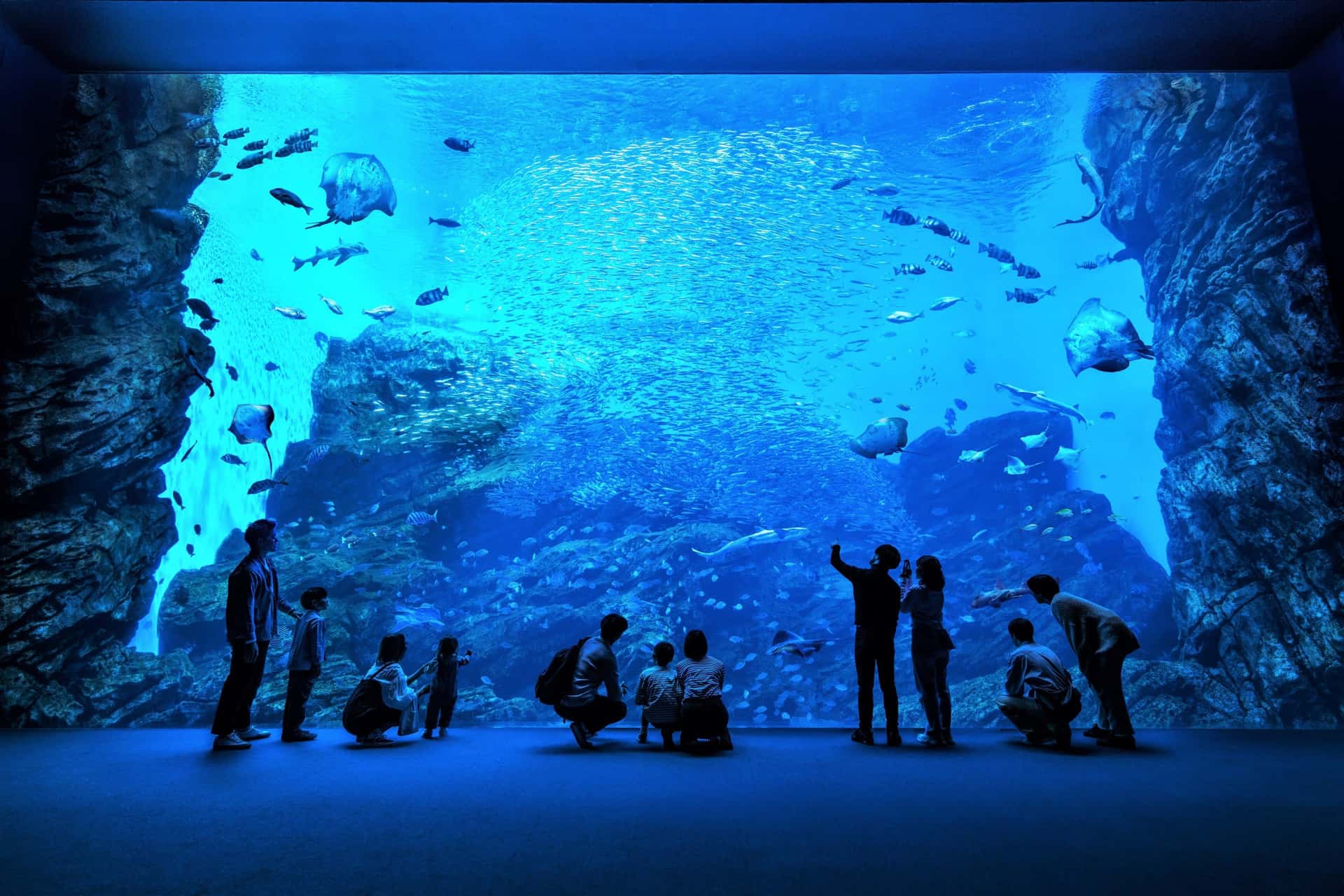 【日本｜仙台】仙台海洋森林水族館入場券