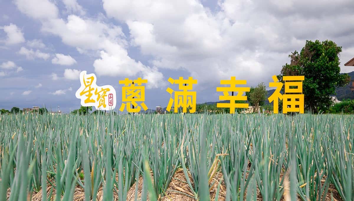 【台灣團】4天 台北 宜蘭 田園拔蔥 溫泉樂
