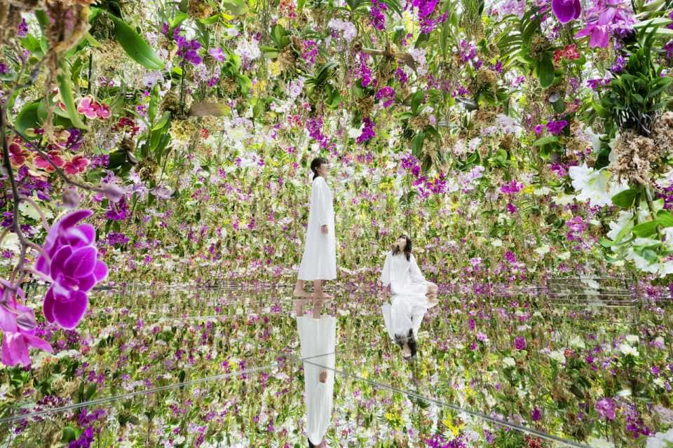 【日本｜東京】豐洲 teamLab Planets TOKYO 展覽門票