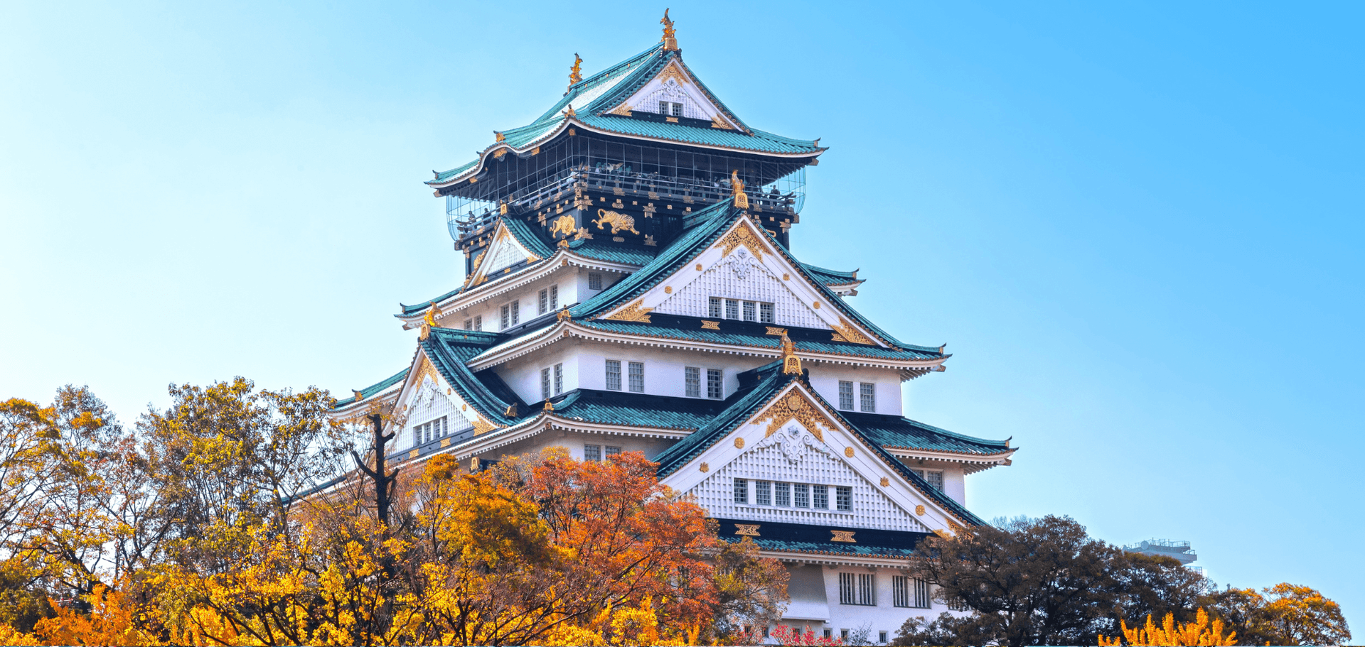挪威郵輪 挪威翡翠號  首爾及日本本洲之旅 香港快運航空 (仁川往東京) 10月出發優惠 楓葉季節