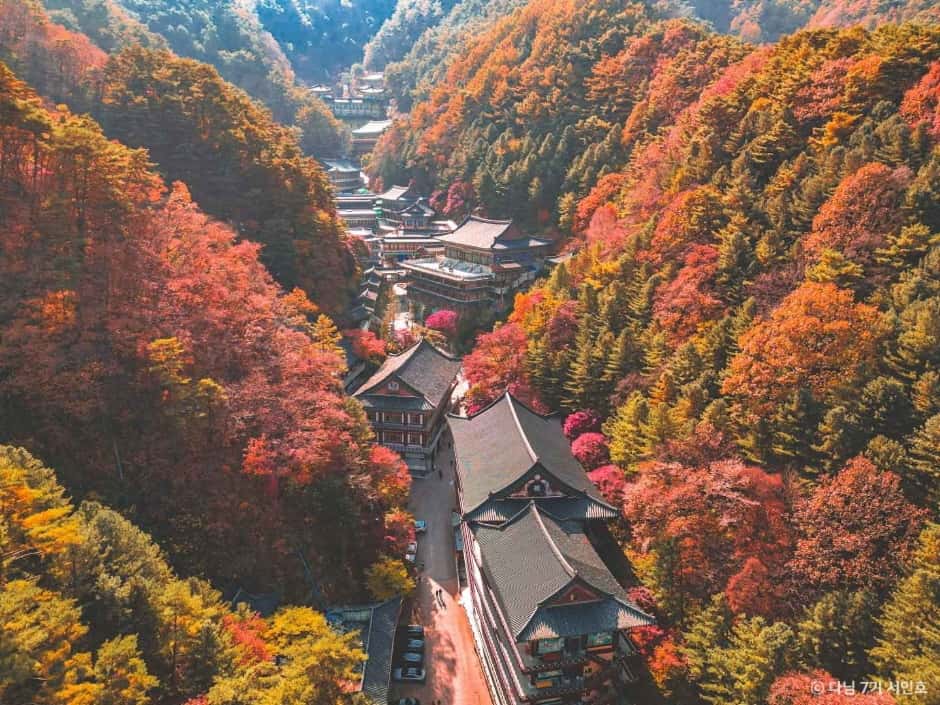 5天 韓國 江原道 High 1 賞楓之旅