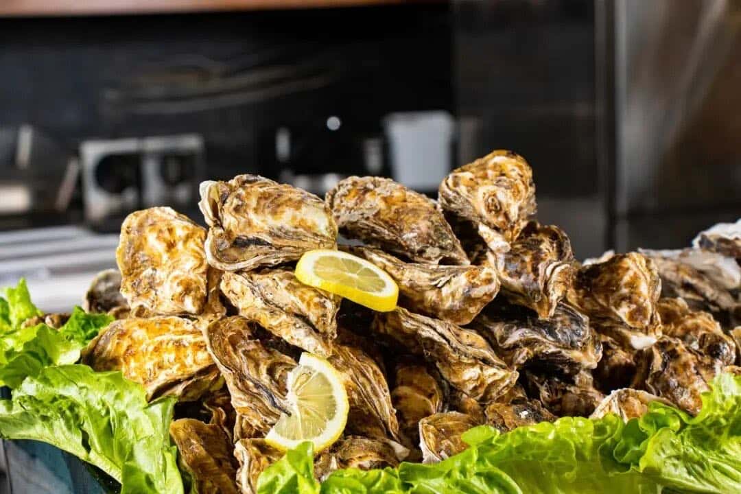 【廣東省團】東莞粵暉園+橋頭蓮湖賞荷 (三餐自助餐) 美食2天 買一送一