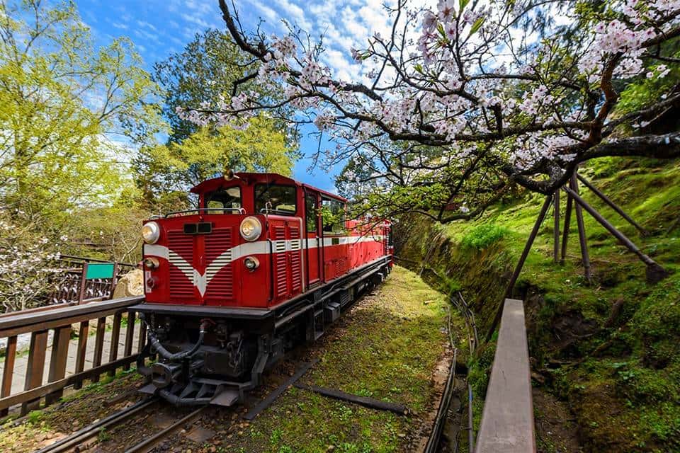 【台灣團】6天 高雄、嘉義、阿里山、台中 (日光溫泉會館)、 台北
