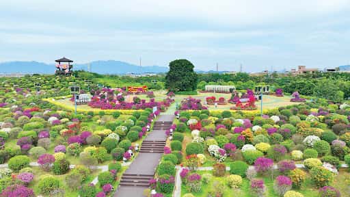 【廣東省團】惠州 甘坑古鎮 千花洲 豪酒店美食純玩2天
