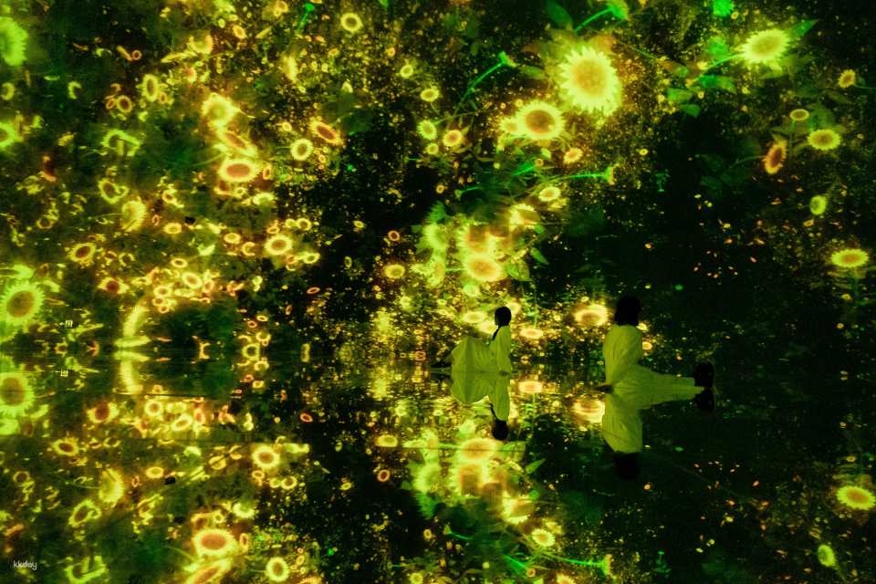 【日本|東京】豐洲 teamLab Planets TOKYO 展覽門票 - 活動主圖