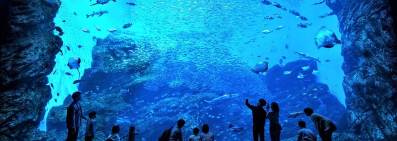【日本|仙台】仙台海洋森林水族館入場券 - 活動主圖