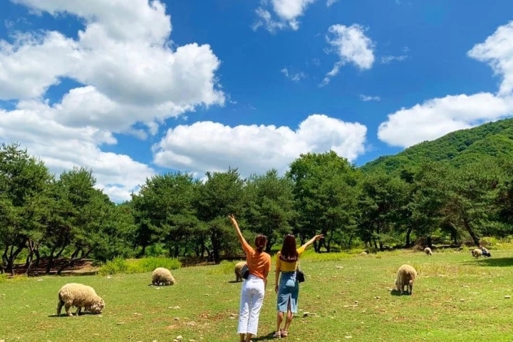 A Relaxing Day Trip to Chuncheon - Activity Main Image