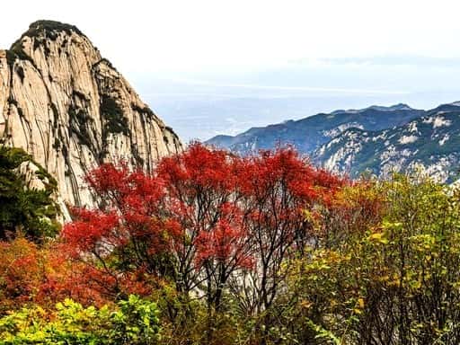 5天 西安 · 華山 賞秋紅葉之旅
