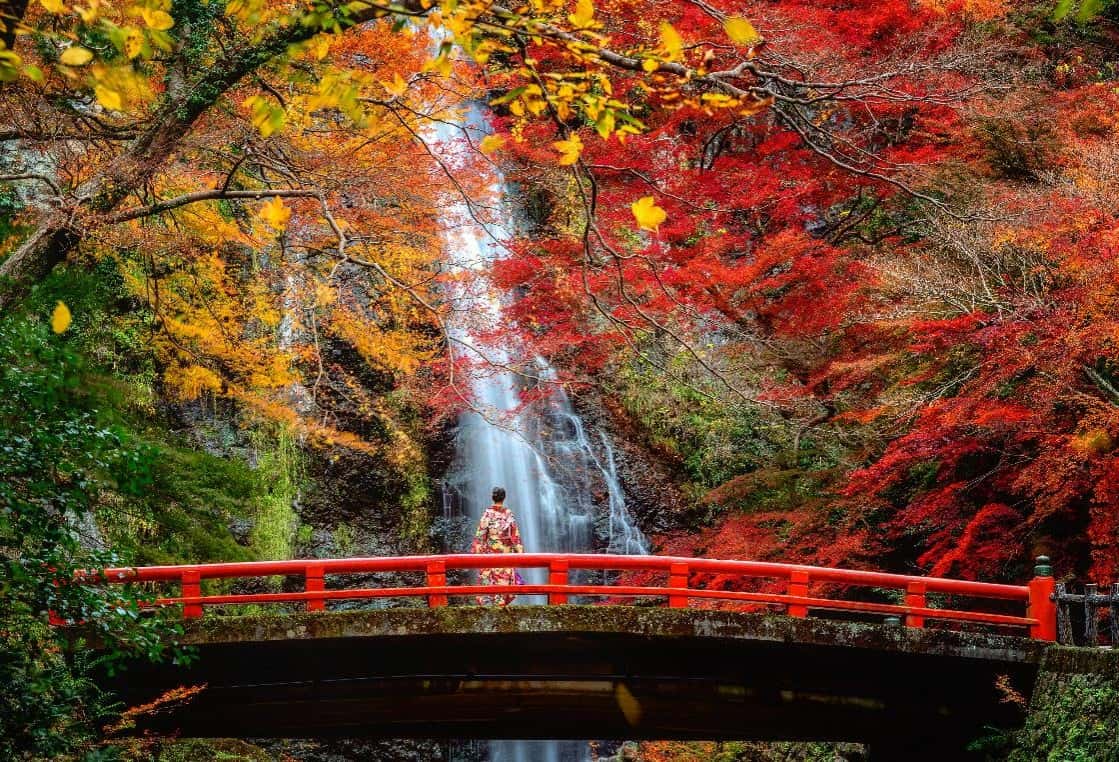 【日本旅行團】5天 大阪、京都狩紅葉之旅