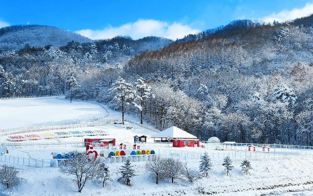 5天 韓國 首爾 龍平滑雪新體驗
