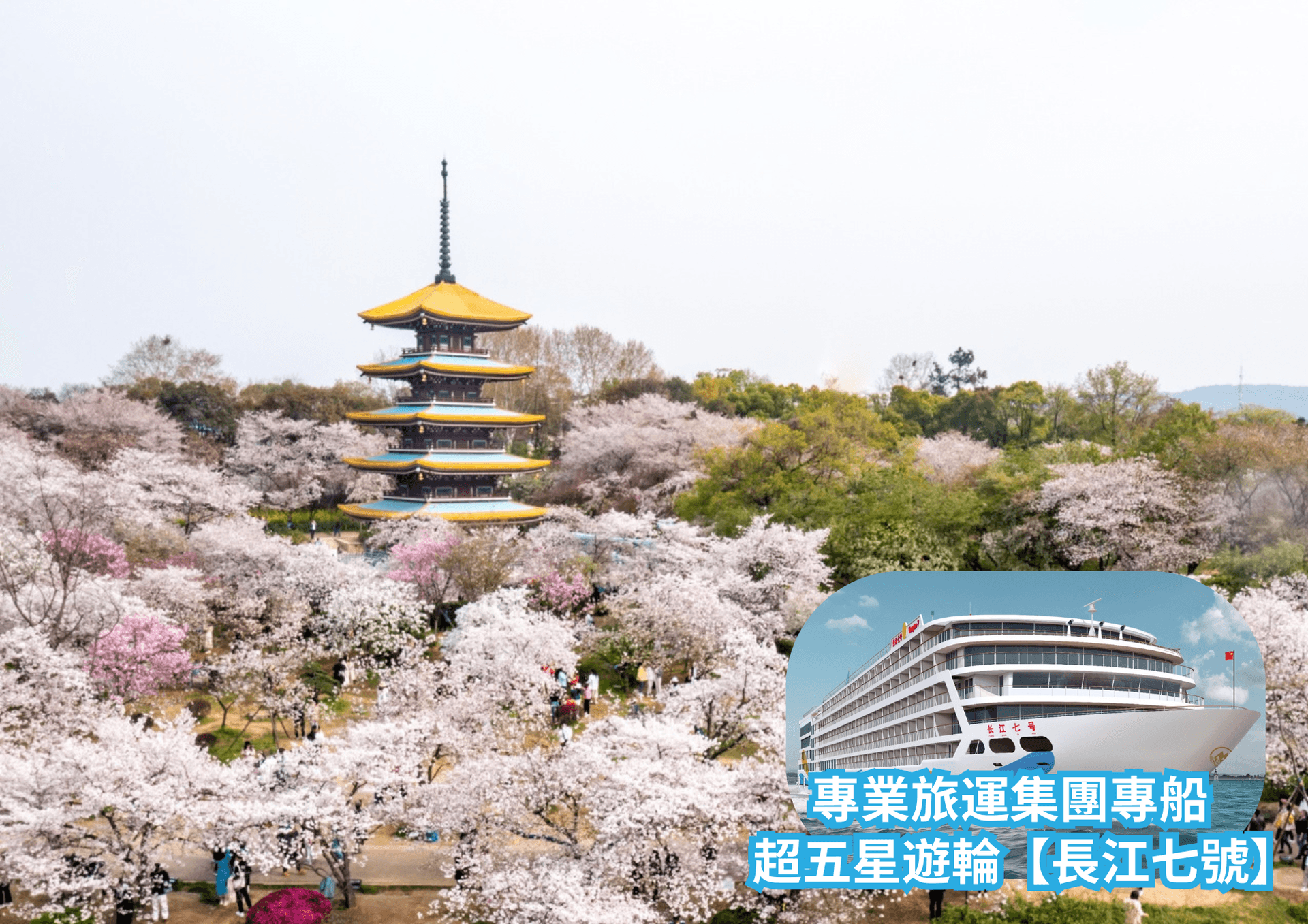 7天三峽遊輪【長江七號】春遊賞櫻.油菜花田