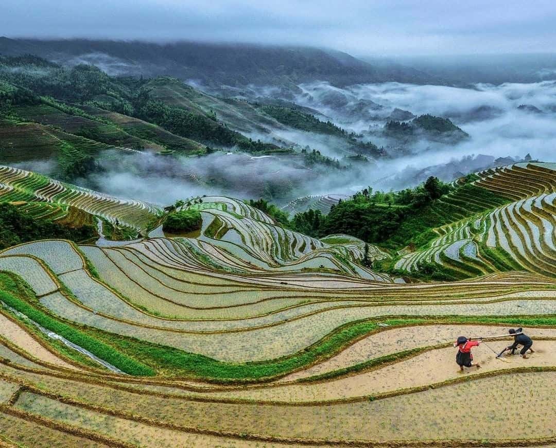 【桂林旅行團】4天桂林 不設購物點 (西九龍往返)