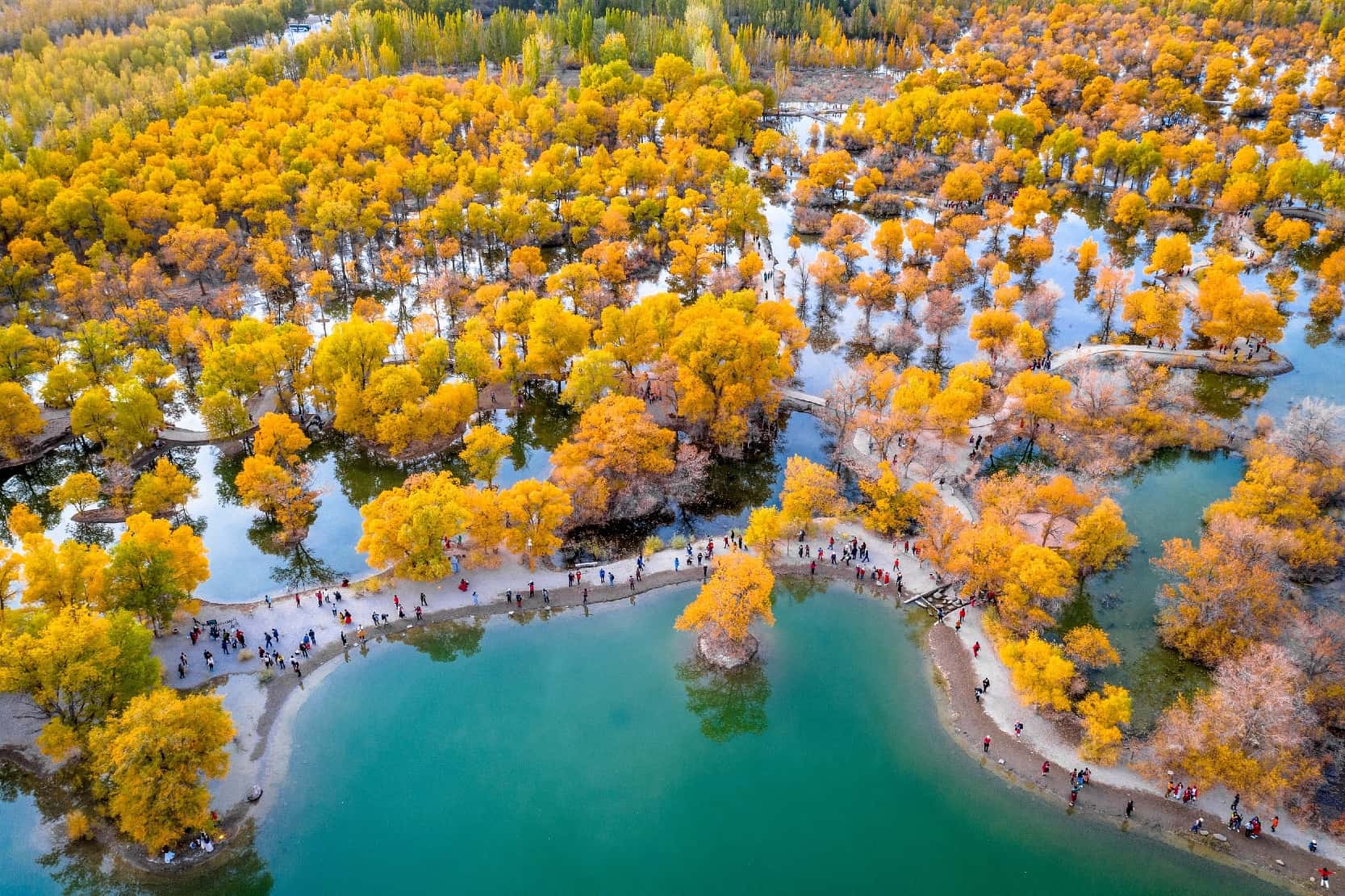 【新疆旅行團】12天 南疆 探索胡楊林奇景 (秋季限定)