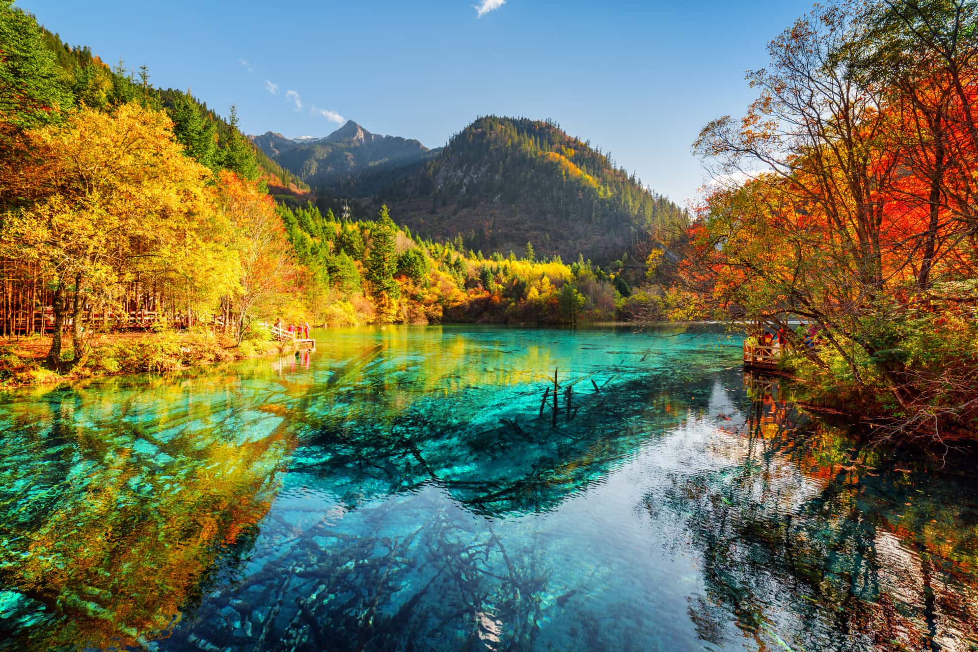 【四川旅行團】7天 成都、九寨溝、黃龍風景區 (西九龍高鐵往返)